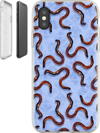 Frogs, flies and worms - Robert PHELPS